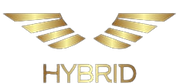 Hybrid ERP